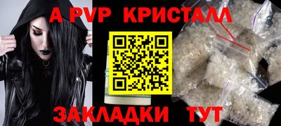 стаф Тара