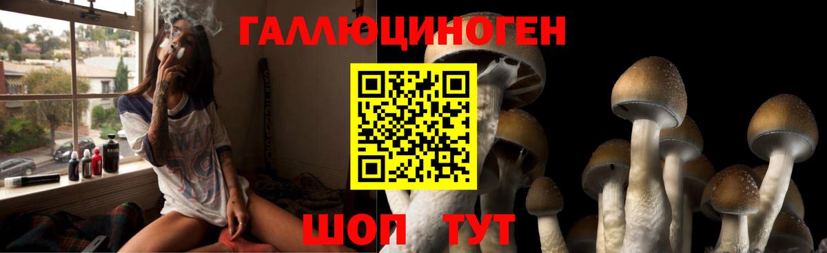 Галлюциногенные грибы Psilocybine cubensis  цены наркотик  Новочеркасск  Вход с VPN 